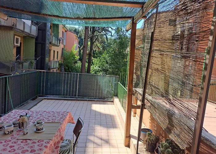 Tanarotto * بولونيا